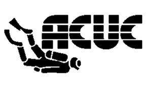 Brand 6